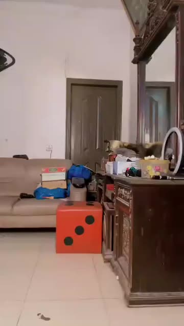 aneesharani2026
