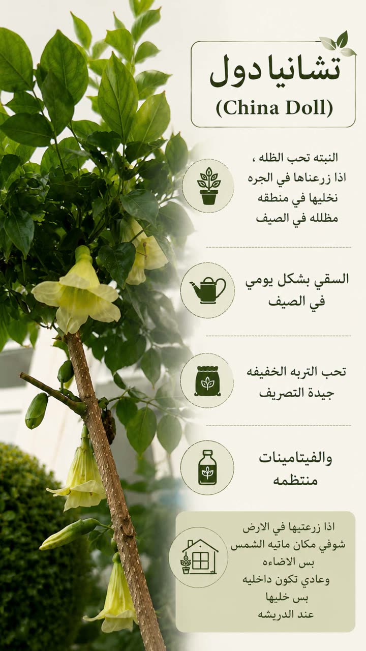 محتوى سناب شات لـ عفرا السويدي 🦋