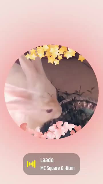 Preview for a Spotlight video that uses the Stars and Hearts Lens
