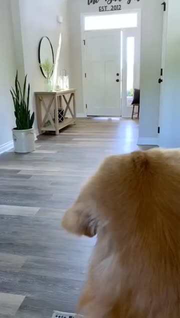 Preview for a Spotlight video that uses the star Lens