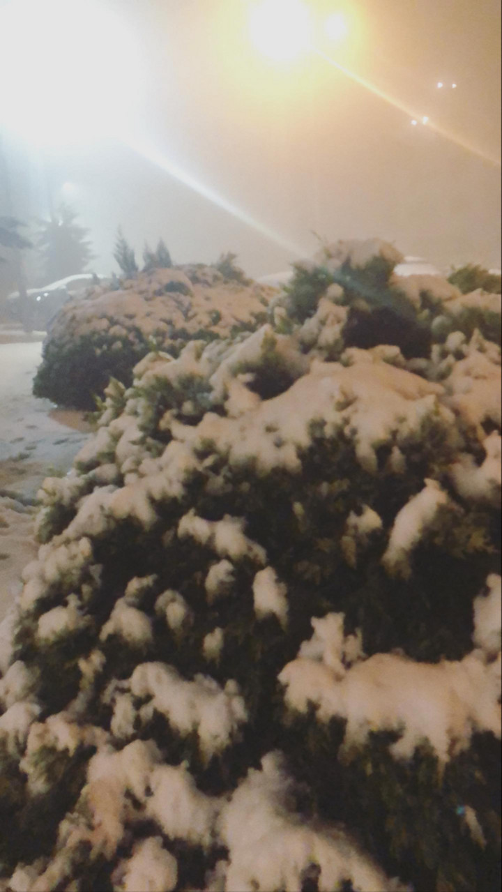 قصة سناب شات للحساب f_alshmer1994 رقم 282