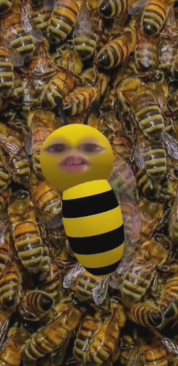 Preview for a Spotlight video that uses the cute bee Lens