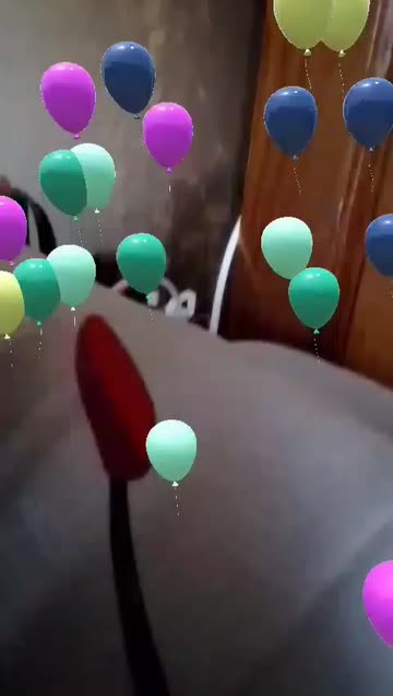 Preview for a Spotlight video that uses the Colored Balloons Lens