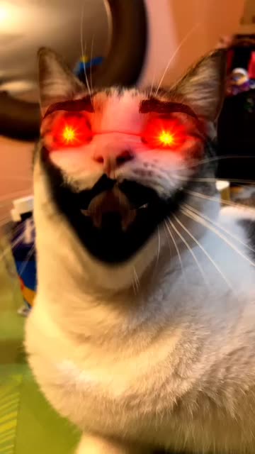 Preview for a Spotlight video that uses the Giga Chad Mad Lens