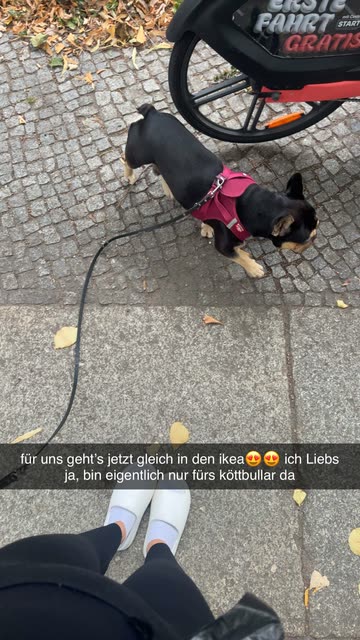 schubartpaula