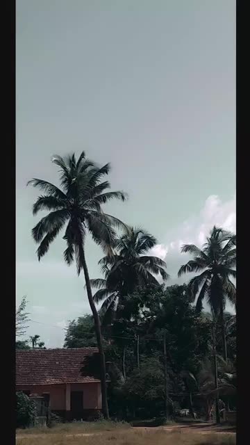 Preview for a Spotlight video that uses the cinematic film Lens