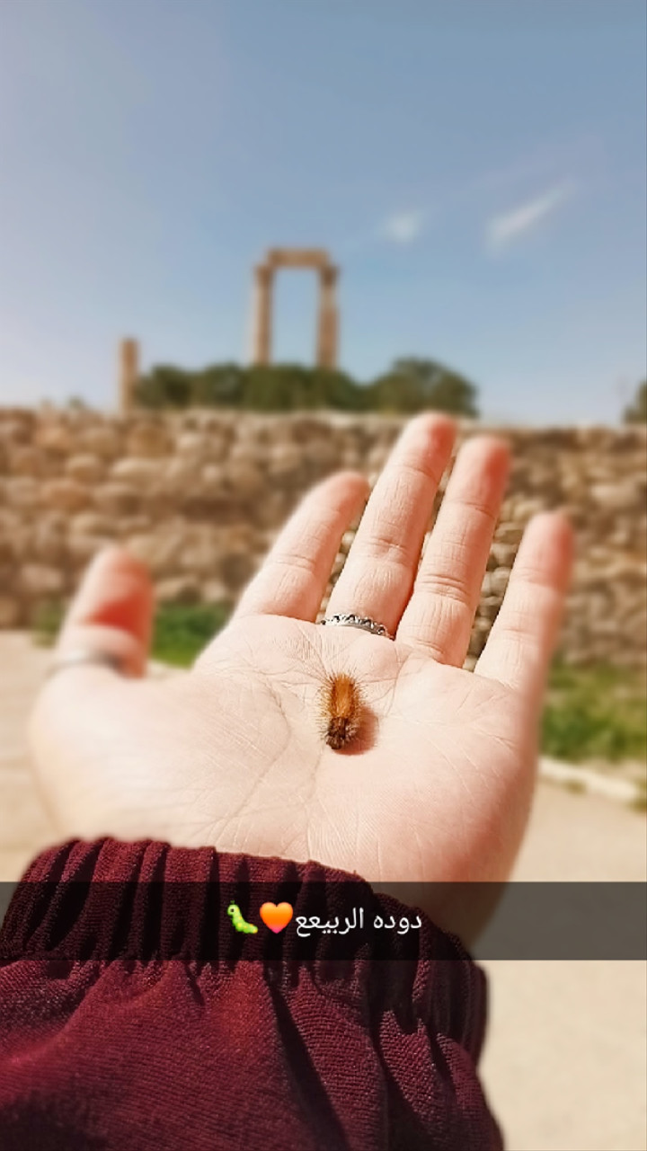 محتوى سناب شات لـ ♡~𝓜𝓪𝓲𝓼 ~♡¹⁸