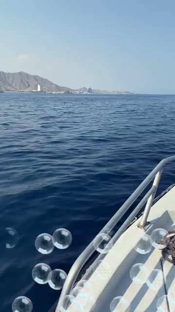 Preview for a Spotlight video that uses the diving Lens