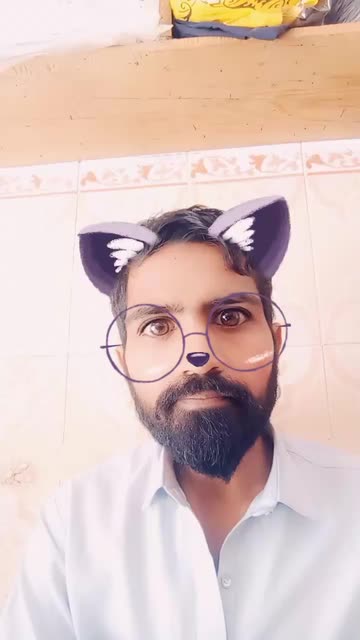 Preview for a Spotlight video that uses the Purple Cartoon Cat Lens