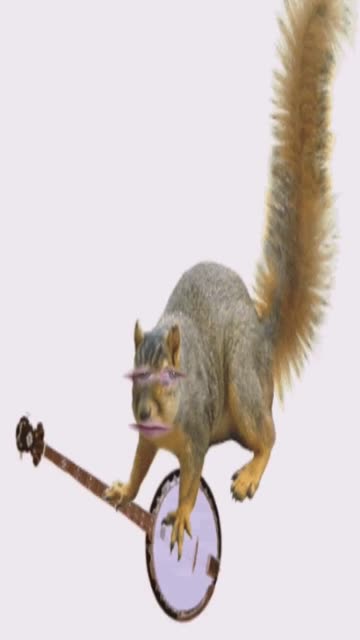 Preview for a Spotlight video that uses the squirrel banjo Lens