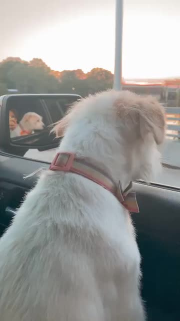 Preview for a Spotlight video that uses the Golden Hour Lens