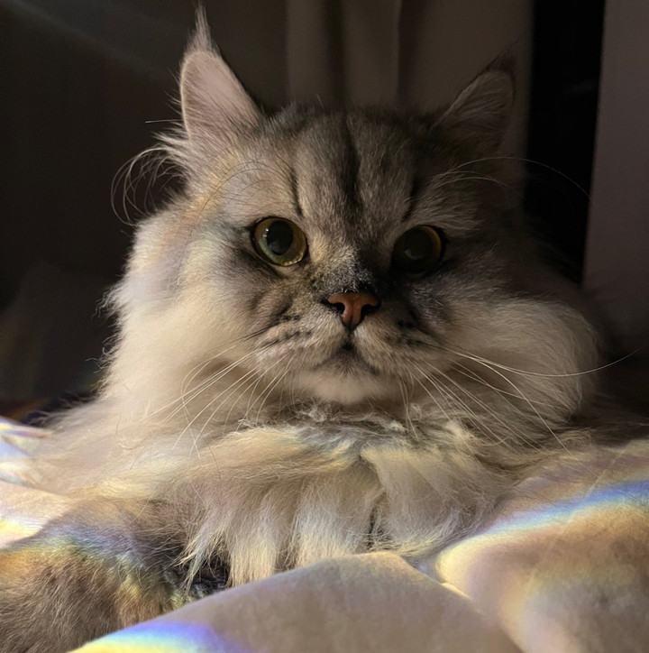 محتوى سناب شات لـ Ruba.