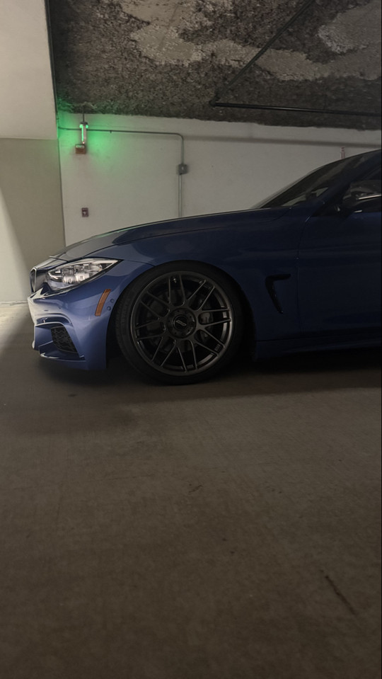 q50.steven