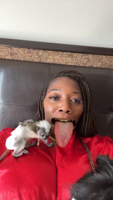 Preview for a Spotlight video that uses the funny tongue mouth Lens
