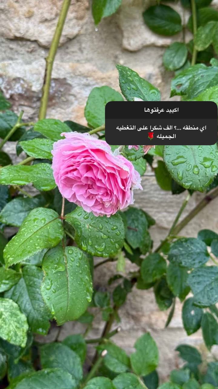 محتوى سناب شات لـ Thelady_ London🇬🇧🕊️