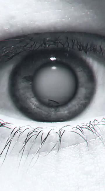 Preview for a Spotlight video that uses the Reflection Lens