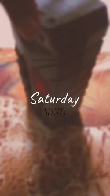 Preview for a Spotlight video that uses the daily streaks Lens