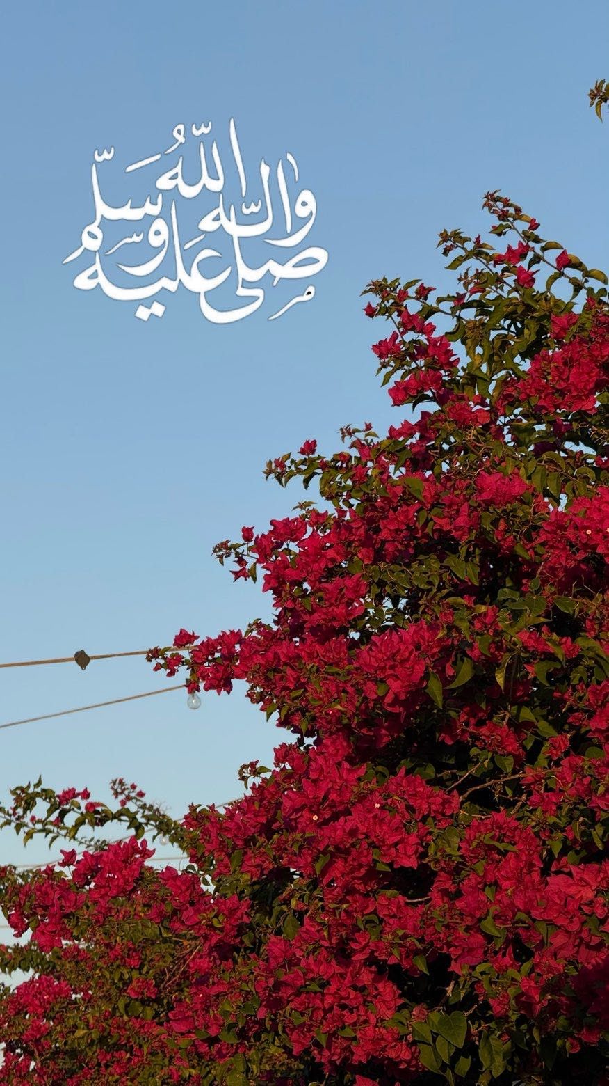 محتوى سناب شات لـ Abo Muhawes