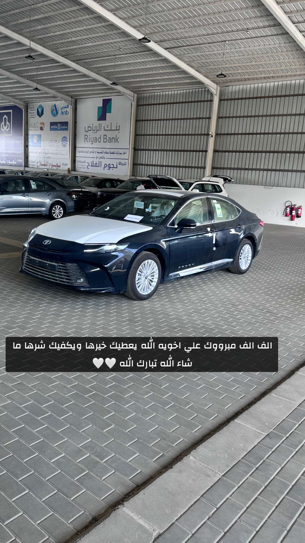 محتوى سناب شات لـ yy aa