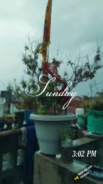 Preview for a Spotlight video that uses the Day Time and city Lens