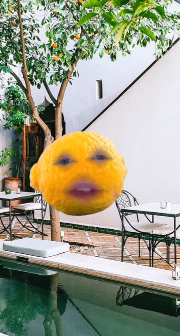 Preview for a Spotlight video that uses the Lemonade Face Lens