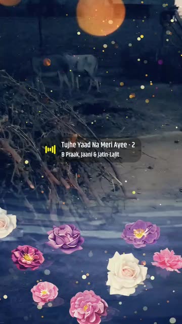 Preview for a Spotlight video that uses the Flowers Reflection Lens