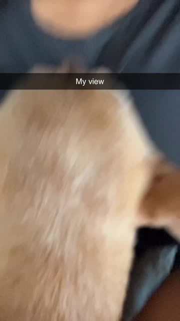 raevindotson