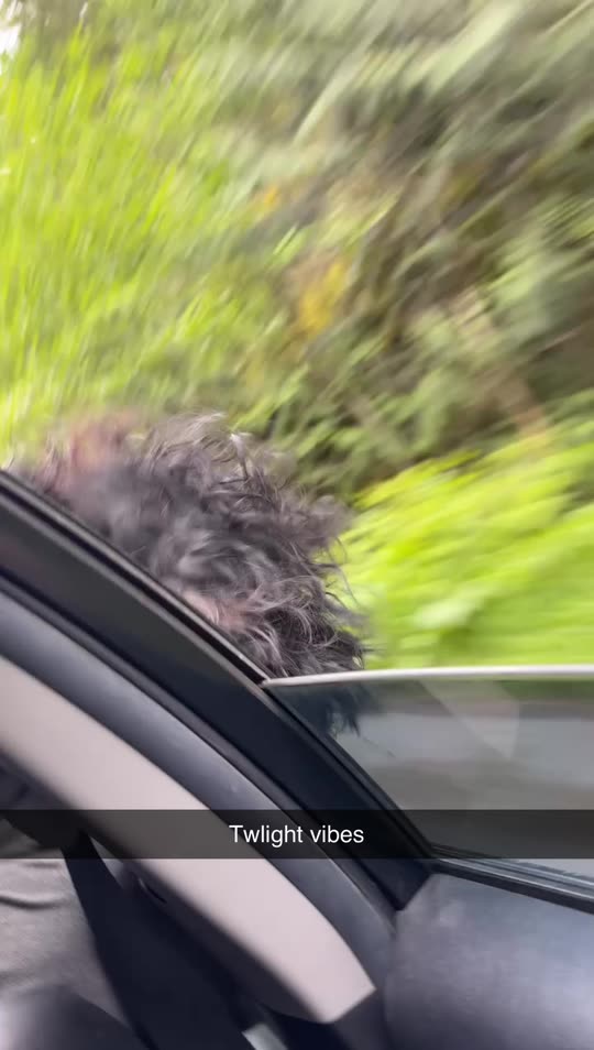 omarasaludayala