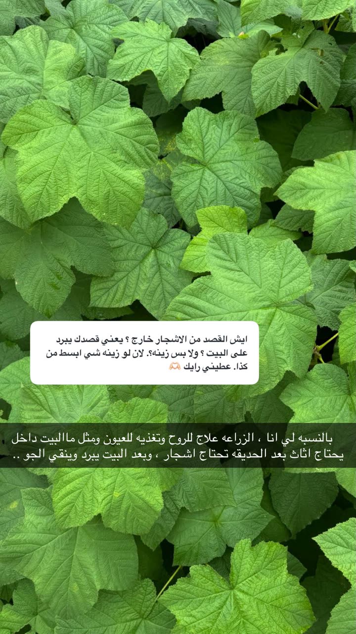 محتوى سناب شات لـ عفرا السويدي 🦋