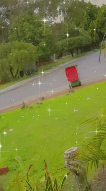 Preview for a Spotlight video that uses the Soft Stars Lens