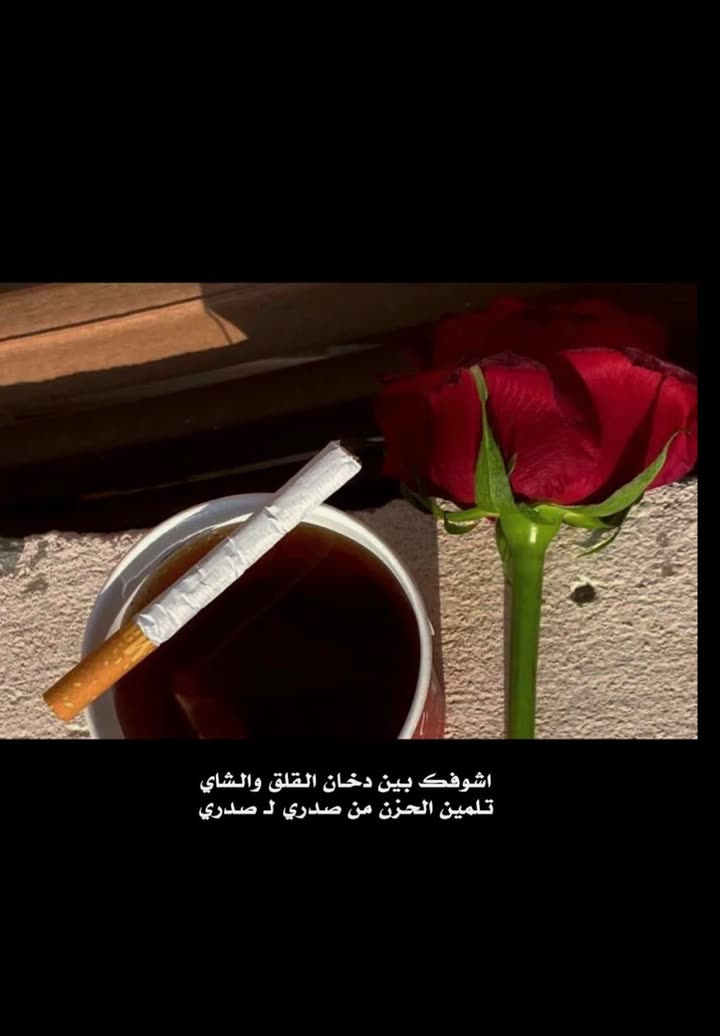 محتوى سناب شات لـ ☤