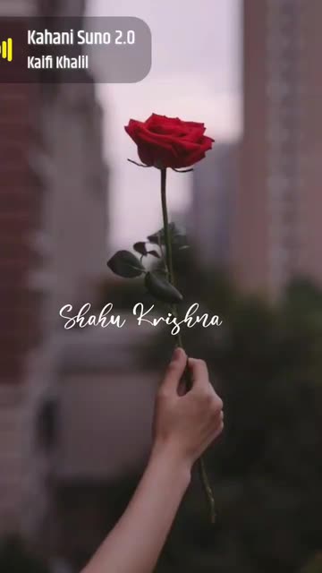 Preview for a Spotlight video that uses the FLOWERS STREAK Lens