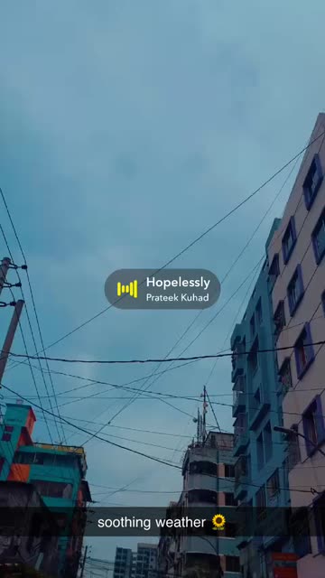 Preview for a Spotlight video that uses the Sunflower Lens