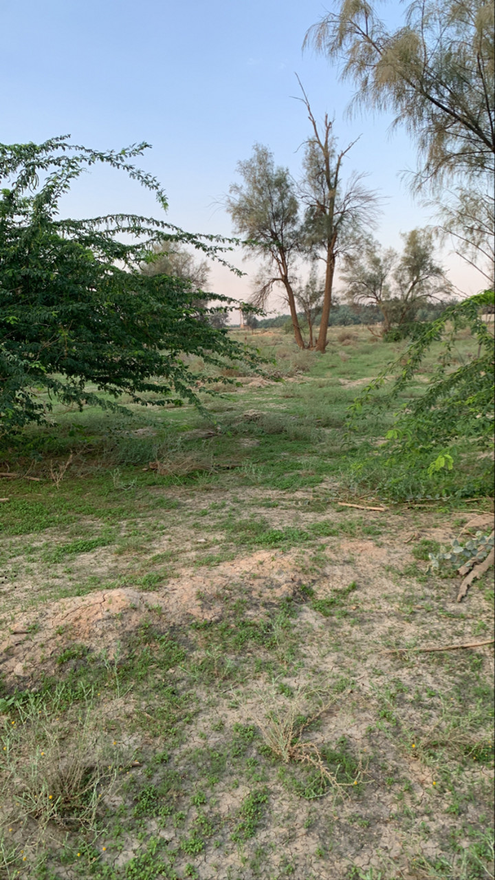 محتوى سناب شات لـ ام عزام