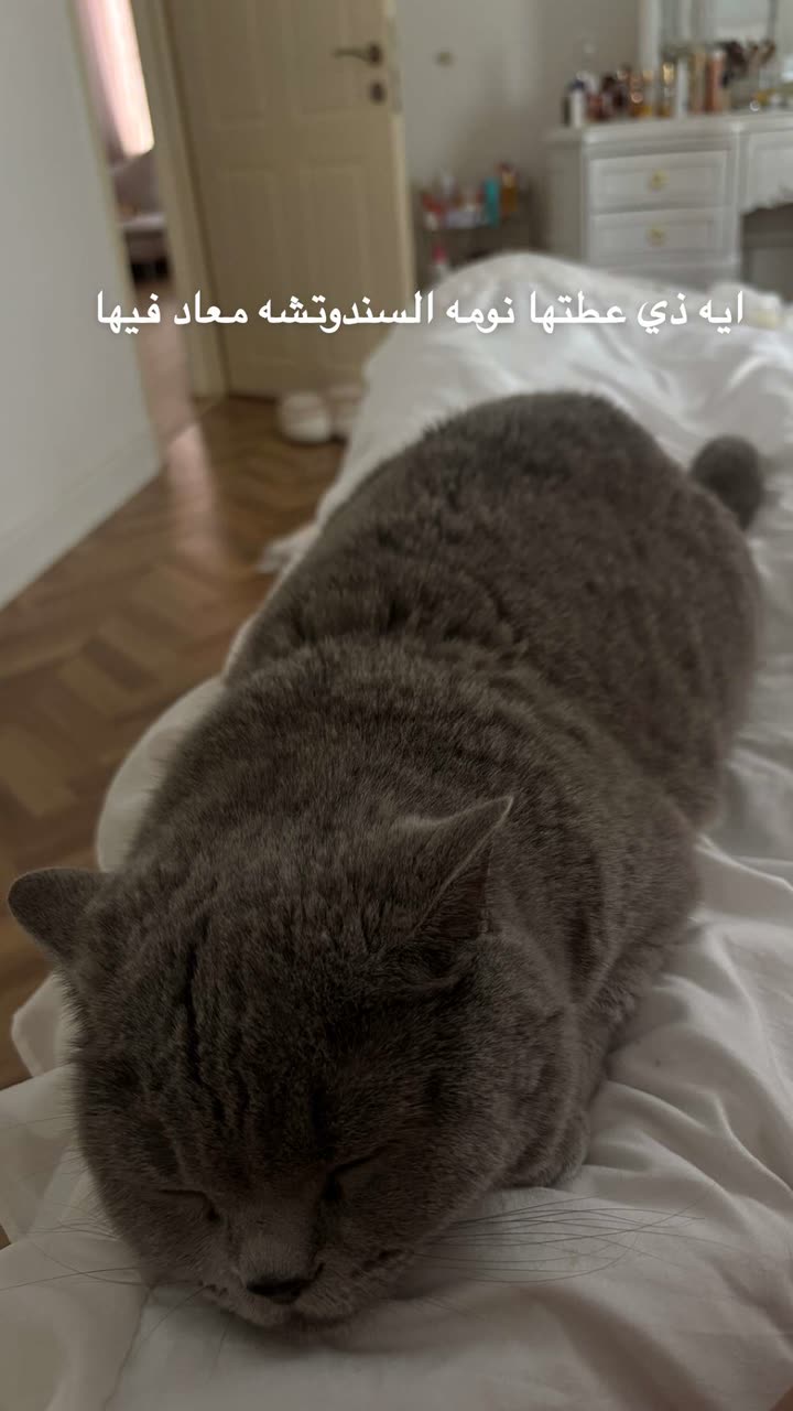 محتوى سناب شات لـ وعد محمد