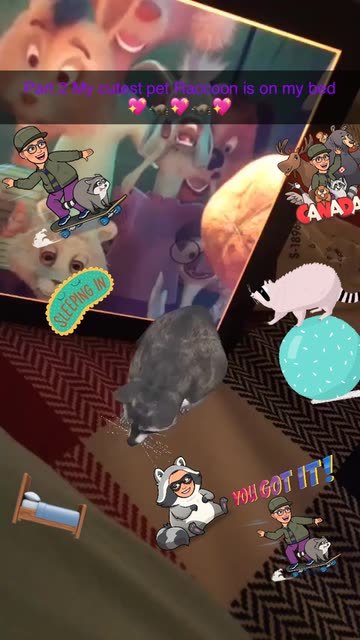 Preview for a Spotlight video that uses the Raccoon Lens
