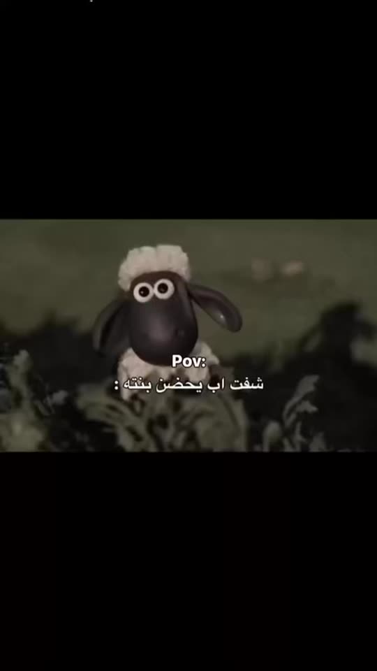 sroo9538
