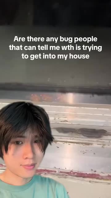 Shane Fan