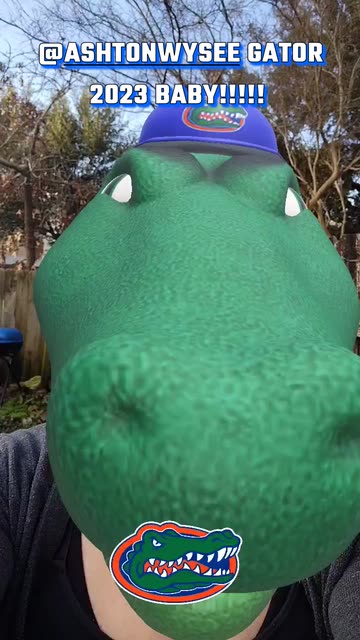 Preview for a Spotlight video that uses the Florida Gators Lens