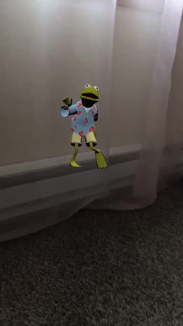 Preview for a Spotlight video that uses the Kermit The Frog Lens