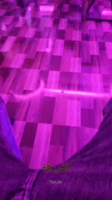 Preview for a Spotlight video that uses the Location Lens