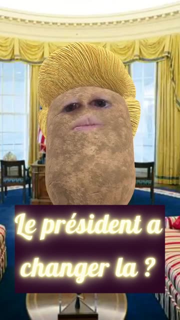 Preview for a Spotlight video that uses the Potato President Lens