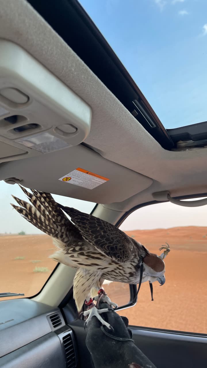 محتوى سناب شات لـ M S