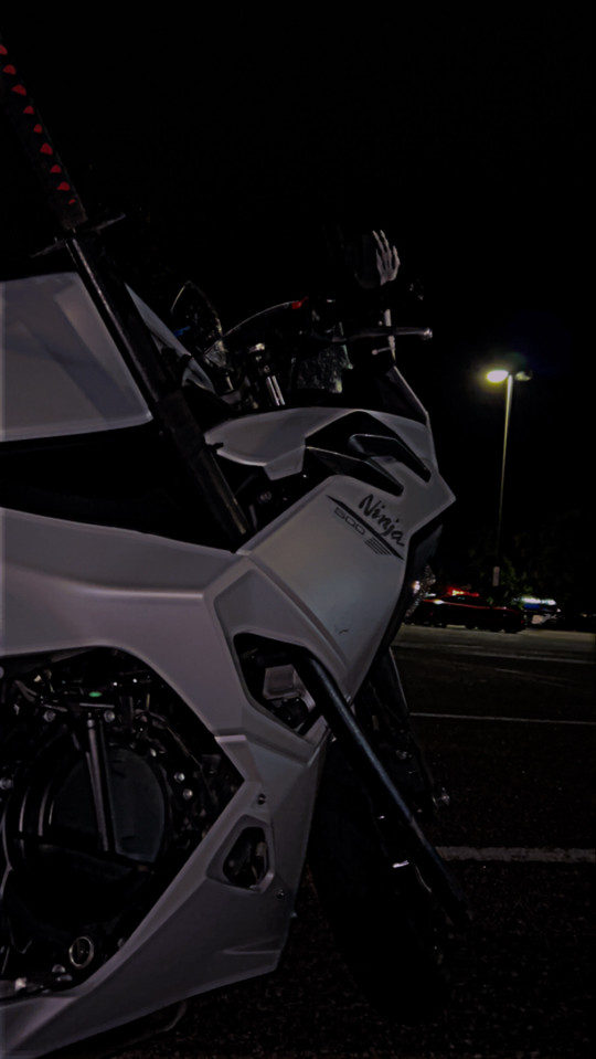 stingray05