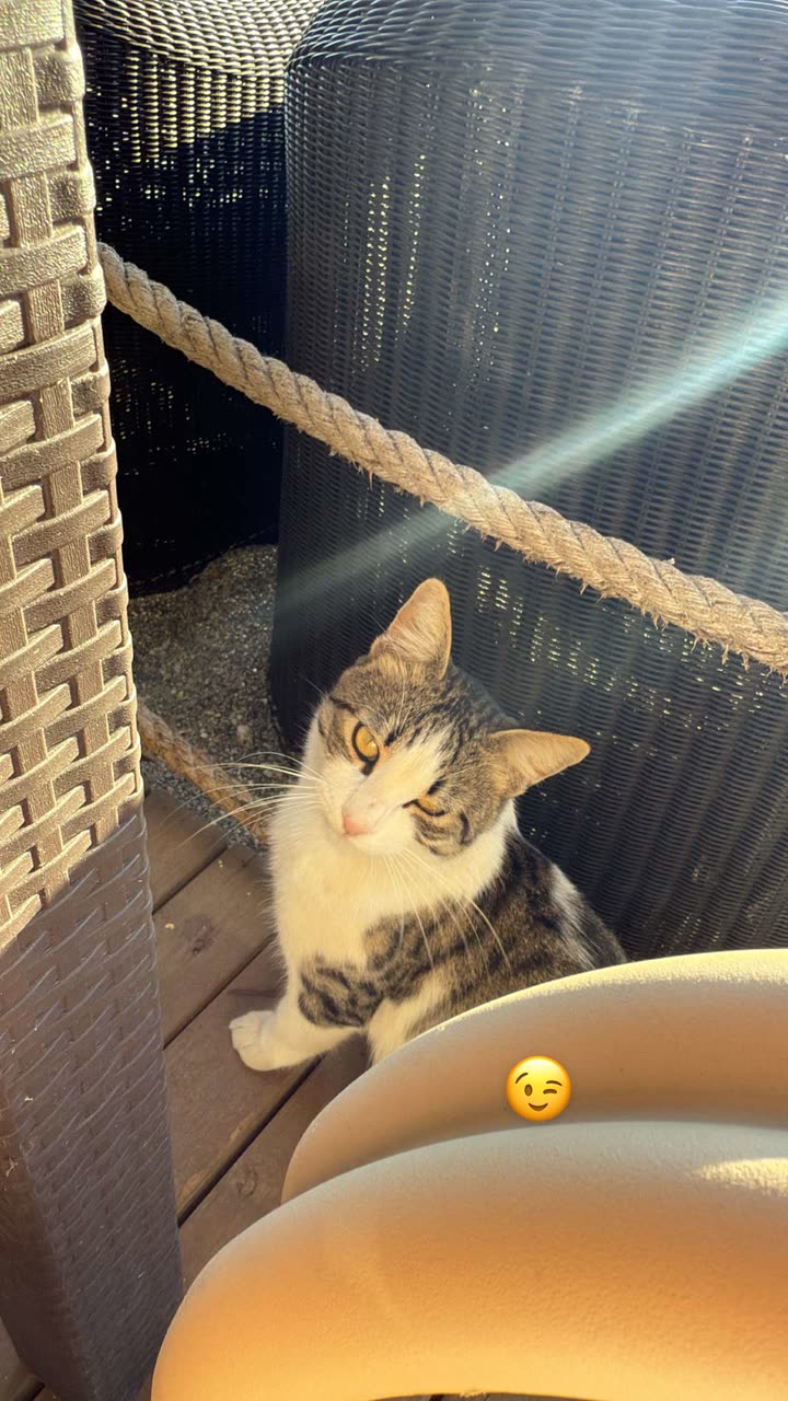 محتوى سناب شات لـ Angel Baby