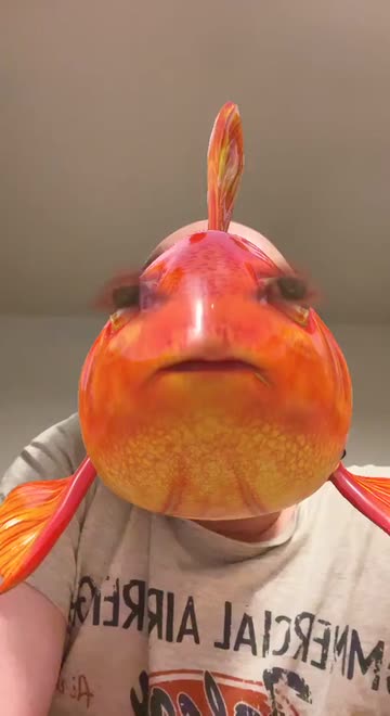 Preview for a Spotlight video that uses the GoldFish Lens