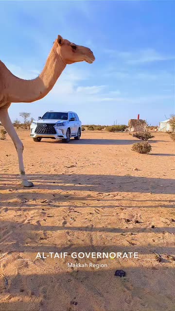 Preview for a Spotlight video that uses the view CAmeL HDR Lens