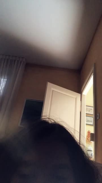 Preview for a Spotlight video that uses the Funny Giraffe 🦒 Lens