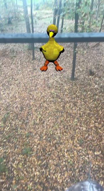 Preview for a Spotlight video that uses the Big Bird Lens