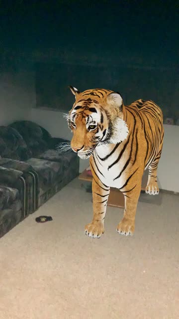 Tiger 3D Lens by OMAR🖤 - Snapchat Lenses and Filters